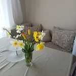 Mommy's House 瓦爾納