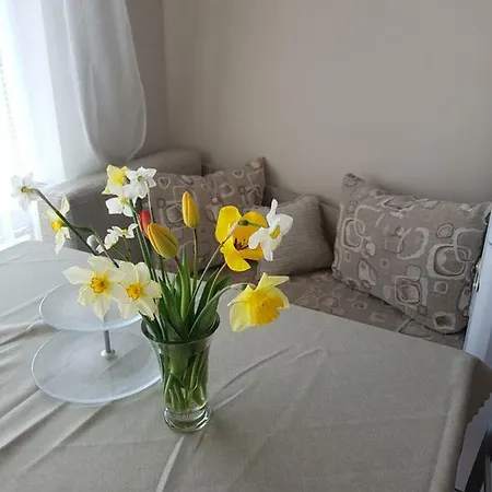 Mommy's House Varna