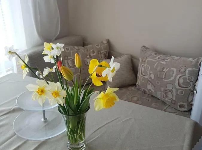 Mommy's House فارنا